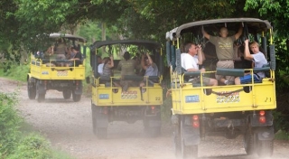 Expediciones por la selva
